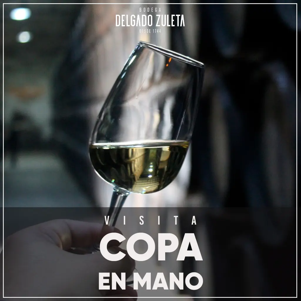 VISITA-COPA-EN-MANO-1