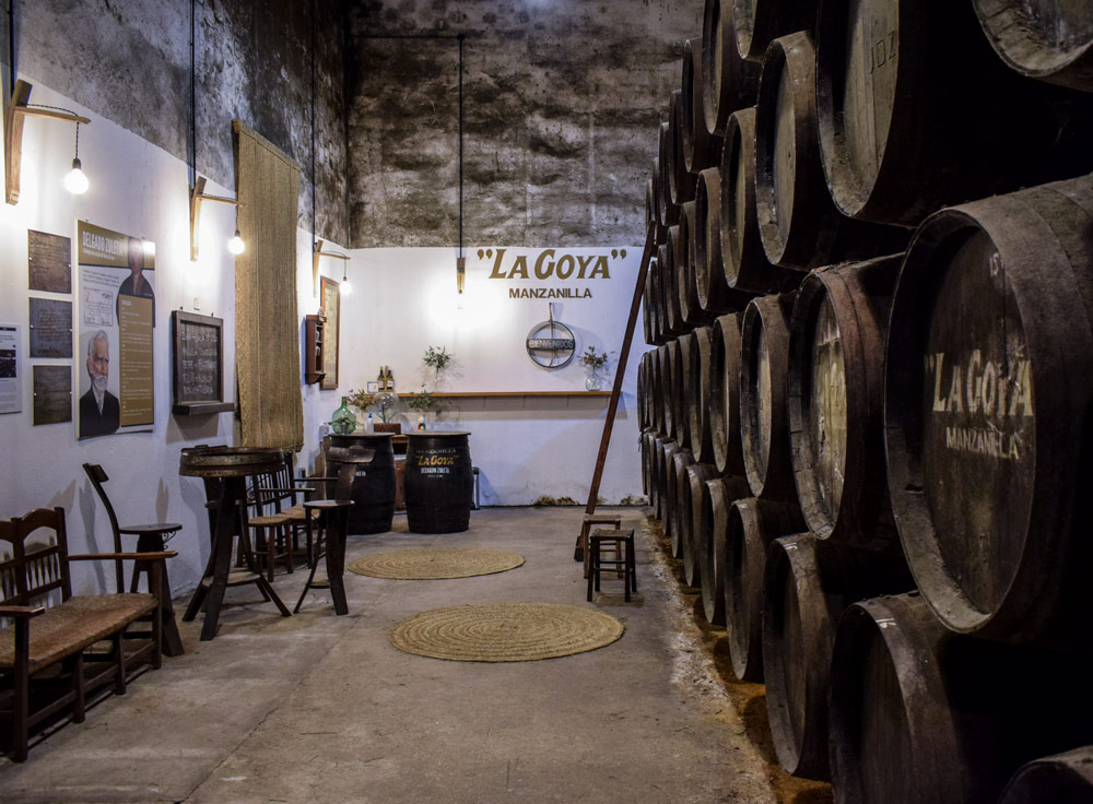 visitas-delgado-zuleta